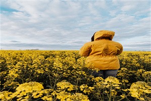 石家庄艺术职业学校2024年招生办联系电话