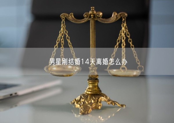 男星刚结婚14天离婚怎么办