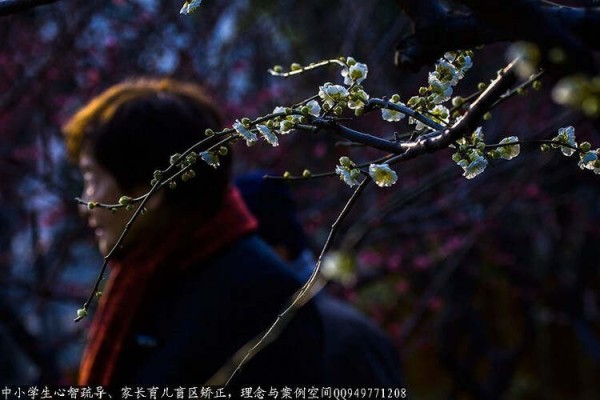 人成熟与不成熟跟年龄没关系，不成熟的5个特征 - 社会风向标、博文精品 - 社会风向标、心灵驿站
