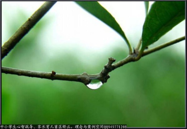 人成熟与不成熟跟年龄没关系，不成熟的5个特征 - 社会风向标、博文精品 - 社会风向标、心灵驿站