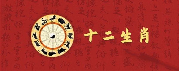 11-狗.jpg