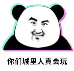 小猫遇到熊猫串门秒变吃瓜群众_熊猫在村民家溜达，“吃瓜”小猫一路紧跟，一只八卦猫