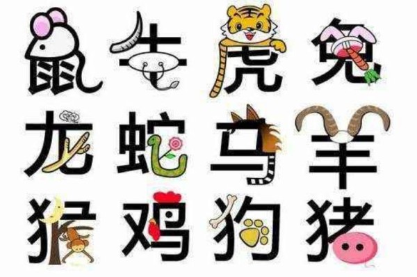 如何选择合适的生肖配对方式