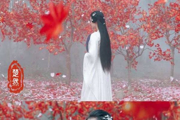 王楚然个人资料 到底是什么身份背景