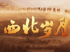西北岁月 吴磊