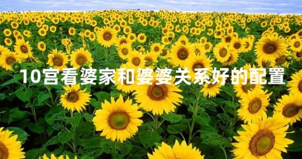 10宫看婆家和婆婆关系好的配置