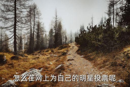怎么在网上为自己的明星投票呢