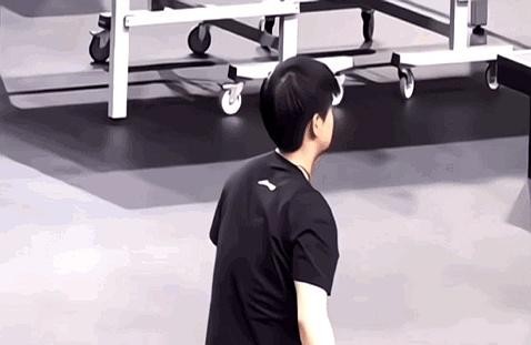 握手背后的权力游戏