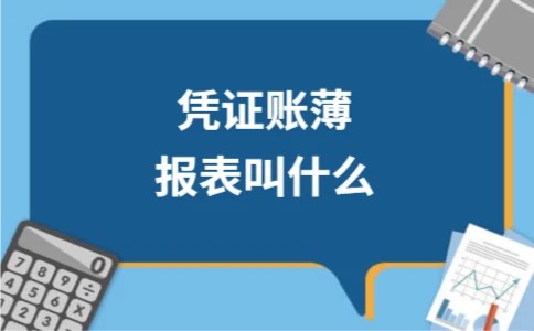 凭证账薄报表叫什么