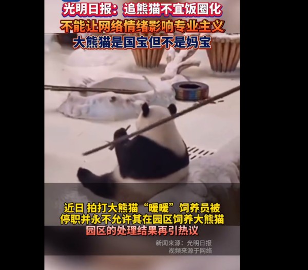光明日报：追熊猫不宜饭圈化