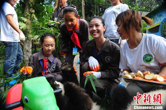 20多位明星认养大熊猫牵手灾区学生献爱心(图)