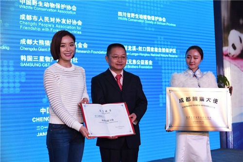 [视频]袁姗姗获封联合国熊猫使者 与熊猫亲昵