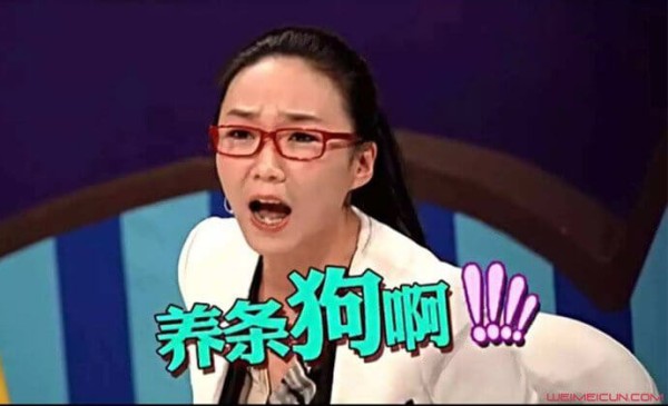 马薇薇为何与前夫离婚 马薇薇资料介绍 第3张
