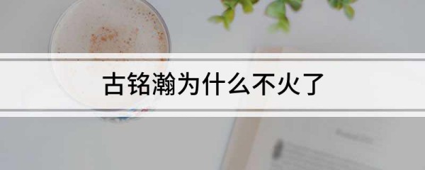 古铭瀚为什么不火了