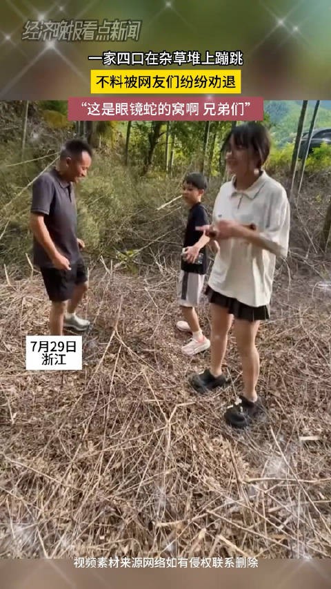 一家四口在杂草堆上蹦跳,不料被网友们纷纷劝退, :这是眼镜蛇的窝?