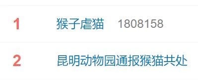 “猴猫共处”惹争议，背后哪些问题值得关注？——中国环境网