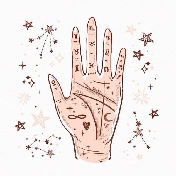 明星中谁是狮子座，明星中谁是射手座 第3张