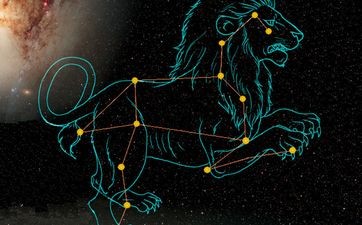 金星狮子是什么 金星落在狮子座的爱情观