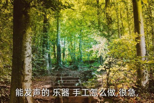 幼儿园乐器手工制作大全图片,中国乐器手工制作大全图片