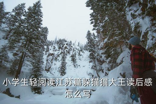 躲猫猫大王,森林里的躲猫猫大王读后感