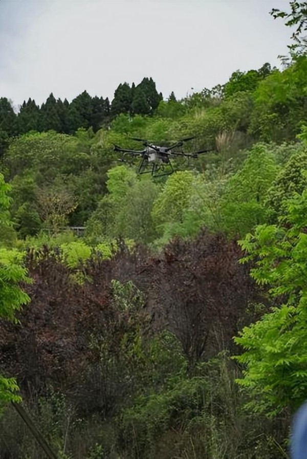 山林寻踪记 生物多样性保护正当时 天府龙泉山第4届自然观察节举行
