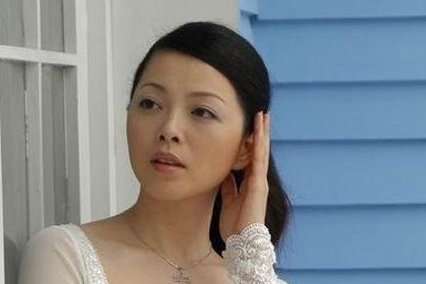 汪涵前妻是谁 陈洁已经是过去时现在舆论瞄准林菁