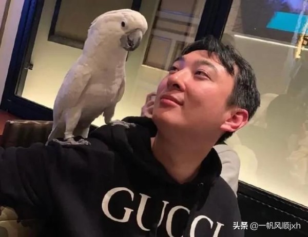 林更新和王思聪是什么关系 基友？表兄弟俩有特殊关系么