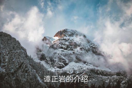 谭正岩的介绍