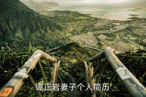 谭正岩妻子个人简历