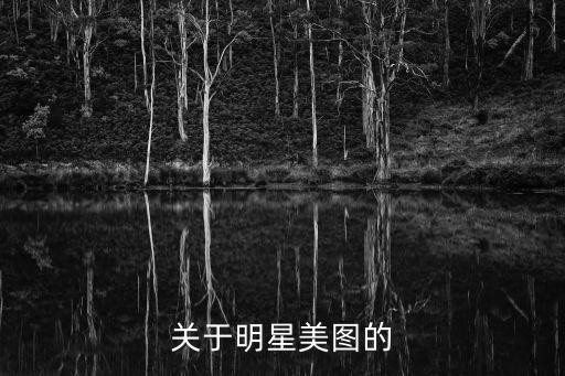 关于明星美图的