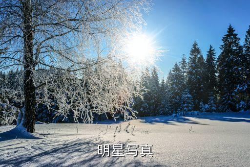 明星写真