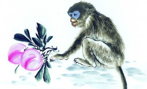 属猴与属虎龙:揭秘属猴与属虎的对冲关系