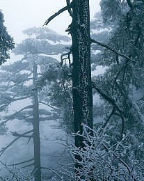 艾熙苏畅婚礼三部曲都是什么内容,明星婚礼三部曲：浪漫启程，中式典雅，时尚派对