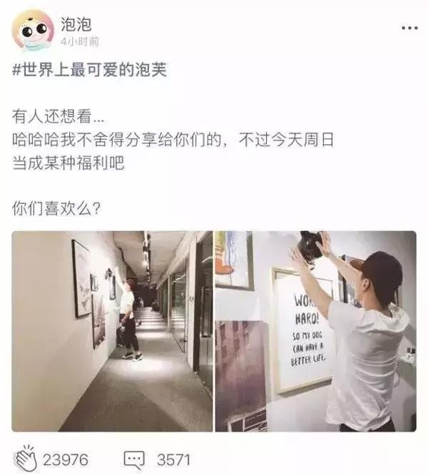 郑爽否认结婚，宋慧乔离婚后憔悴，而她却用婚姻弥补了亲情的缺憾