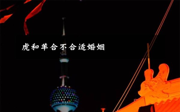 虎和羊合不合适婚姻文章配图