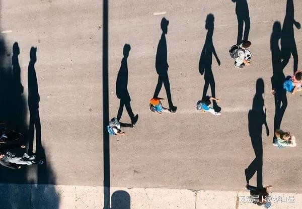 麦冬这个女人的终极结局