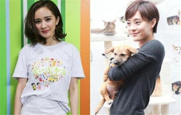杨幂工作中生活中人缘都好！和孙俪的关系比较特殊