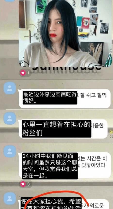 韩素希为什么被财阀盯上 韩素希的画作被暗指遭韩国财阀控制的原因