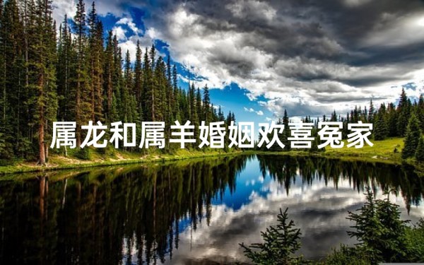 属龙和属羊婚姻欢喜冤家