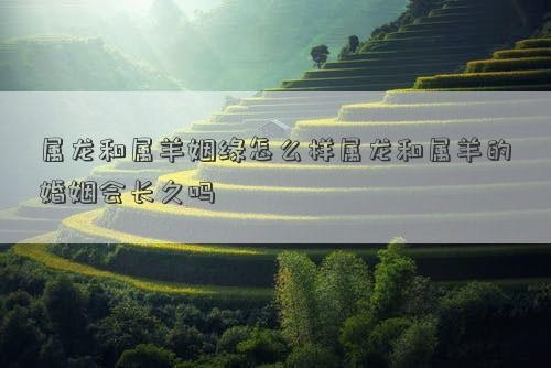 属龙和属羊姻缘怎么样属龙和属羊的婚姻会长久吗