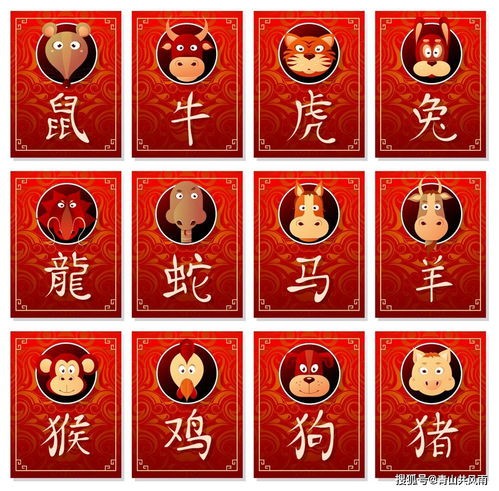 属羊与属龙的婚配怎么样(1979年属羊人45岁大难)