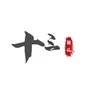 不八卦掌门人
