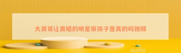 大舅哥让离婚的明星带孩子是真的吗视频