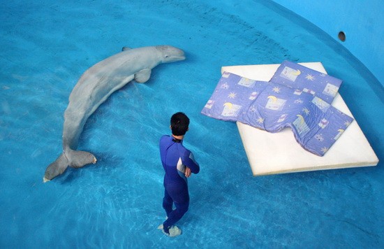 组图：经济类组照银奖