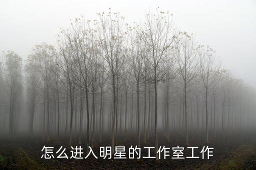 怎么进入明星的工作室工作