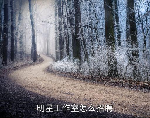 明星工作室怎么招聘