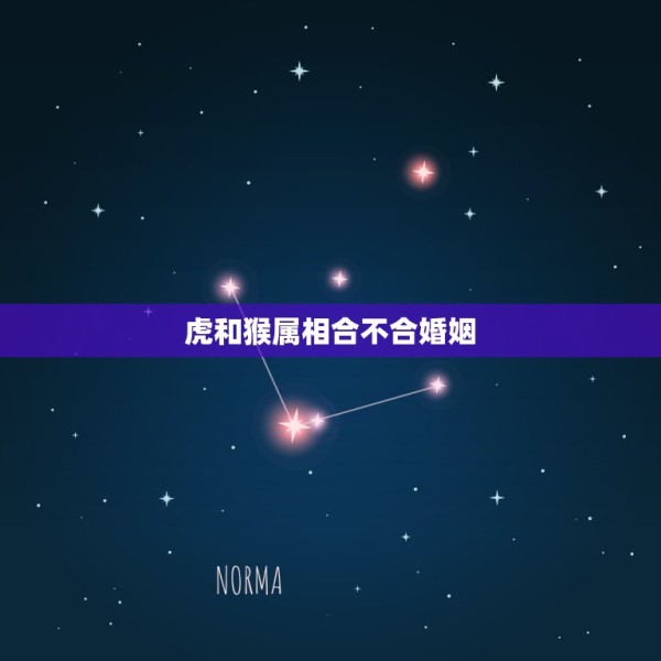 虎和猴属相合不合婚姻，属猴和属虎的夫妻多吗 第1张