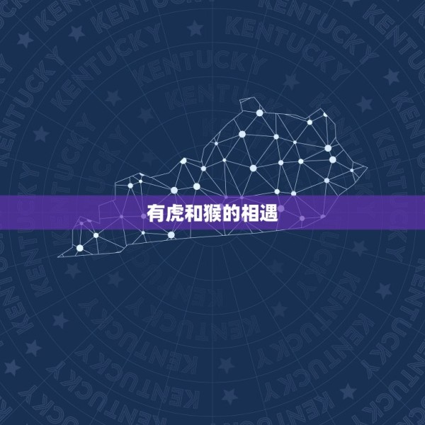 有虎和猴的幸福夫妻吗(探寻动物世界的爱情奇迹) 第1张