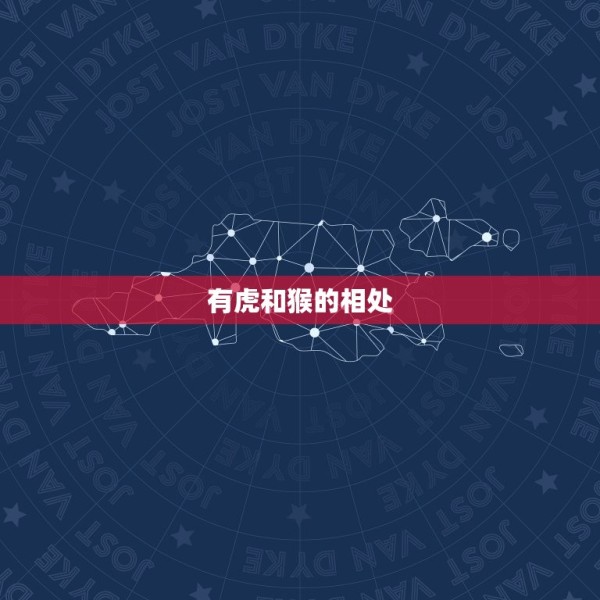 有虎和猴的幸福夫妻吗(探寻动物世界的爱情奇迹) 第2张