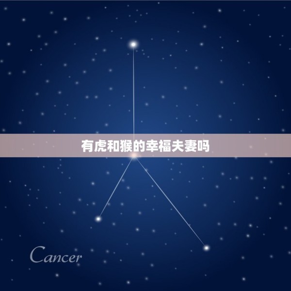 有虎和猴的幸福夫妻吗(探寻动物世界的爱情奇迹) 第3张